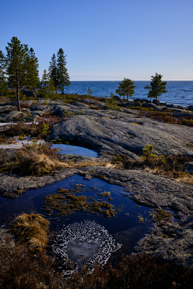 Fujifilm X100V_6w.jpg